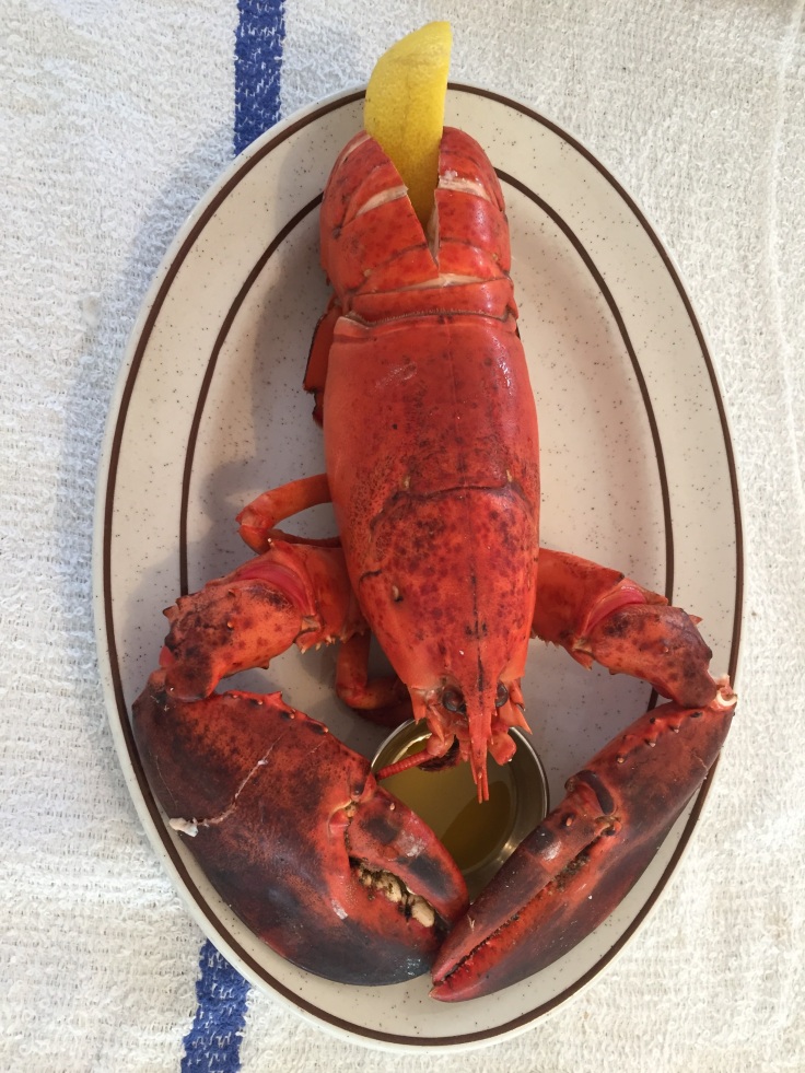 2017-08-10 Lobster Dinner 03