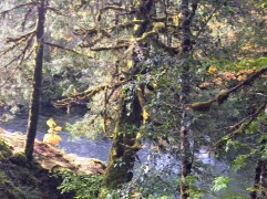 2017-10-02 Oregon 02 Views 03